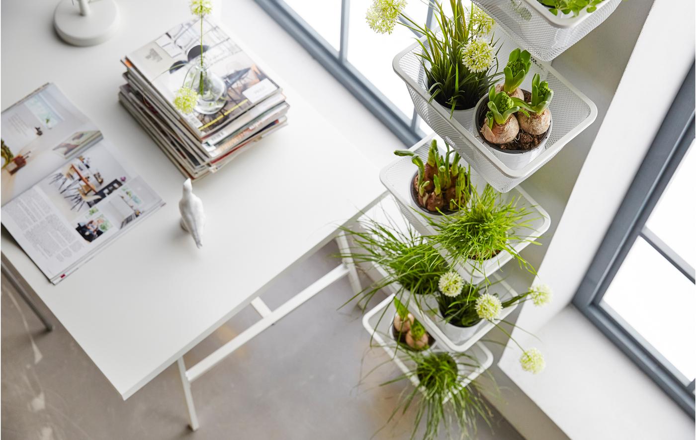 Got garden dreams but only a small apartment? Here’s how to make the most of your space.