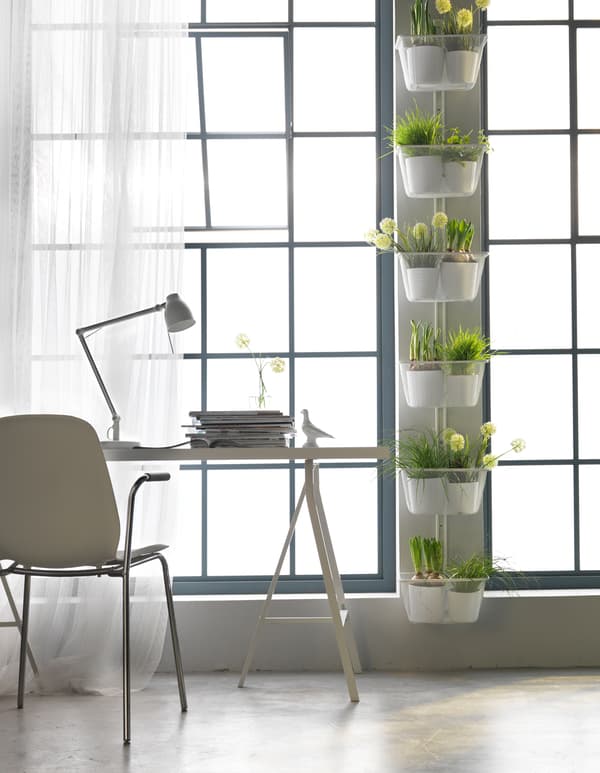 Got garden dreams but only a small apartment? Try extending your windowsill using the space inbetween windows to plant.
