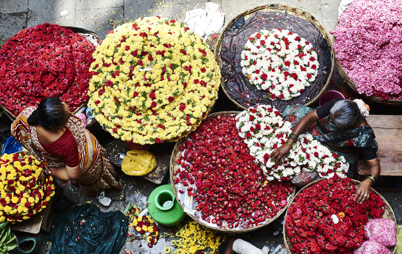 Grands paniers remplis de fleurs colorées.