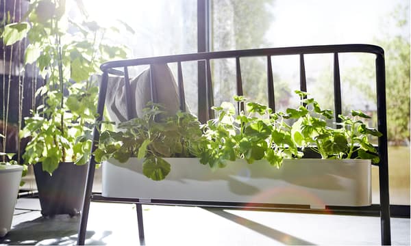 Gros plan d'un banc avec jardinière garnie de plantes fixée à l'arrière.