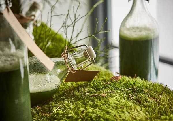 Gros plan d’une bouteille de jus vert posée sur un lit de mousse.