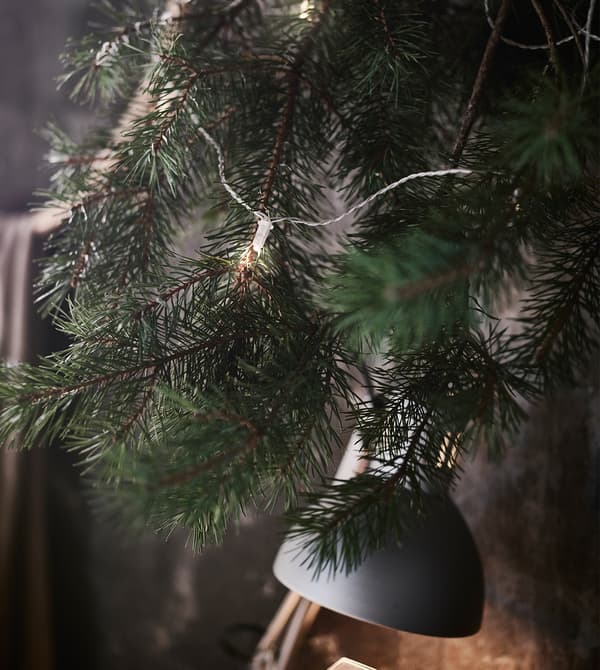 Gros plan d'une branche de sapin ornée d'une guirlande lumineuse à LED.