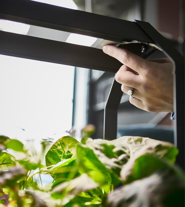 Gros plan d’une femme allumant la lampe intégrée dans une étagère.