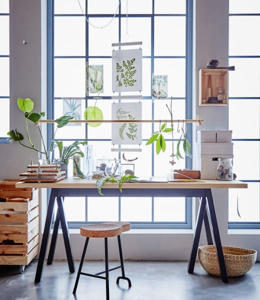 Gros plan sur des plantes et autres végétaux déposés sur un bureau placé devant une fenêtre.