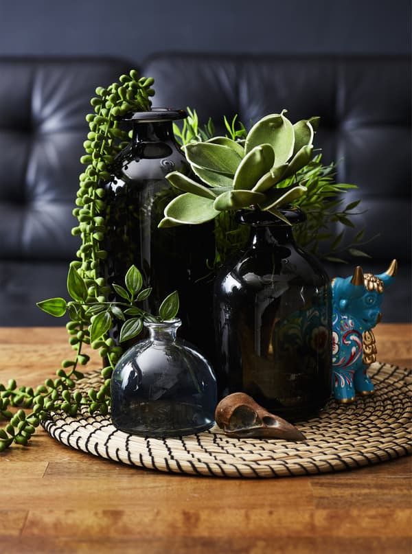 Groupe de vases noirs remplis de plantes