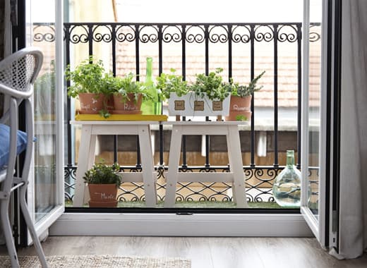Grow a herb garden