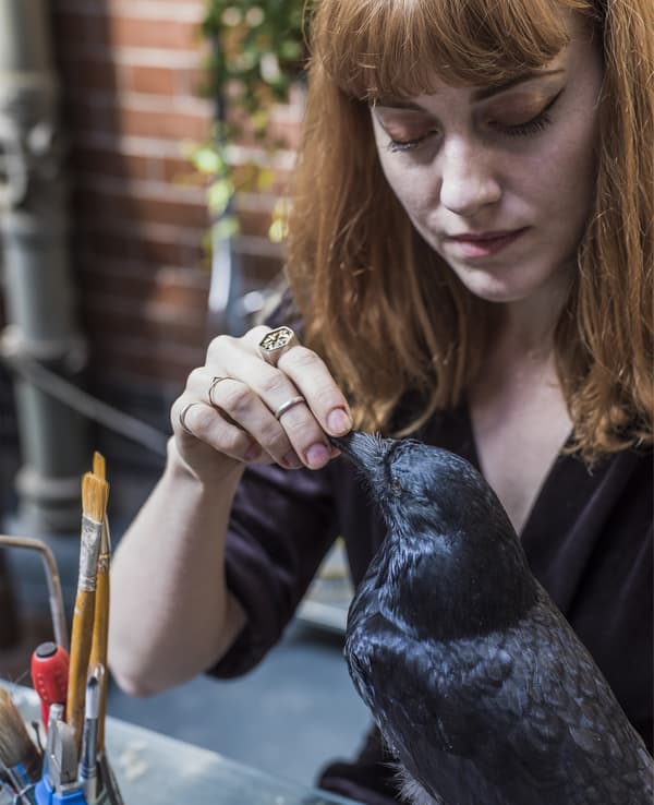 Hannah, taxidermiste, travaillant sur un animal
