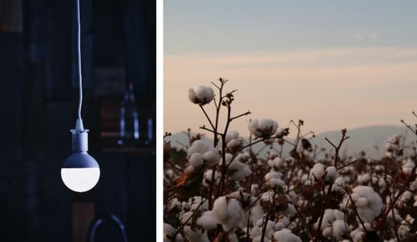  Hemos cambiado toda nuestra gama de iluminación a LED de bajo consumo, por ejemplo, y todo el algodón que utilizamos proviene de fuentes más sustentables
