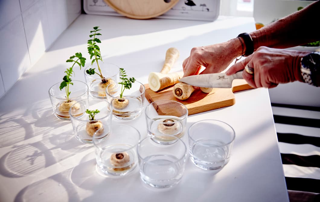 Here’s 5 of our favourite vegetables to re-use and regrow.