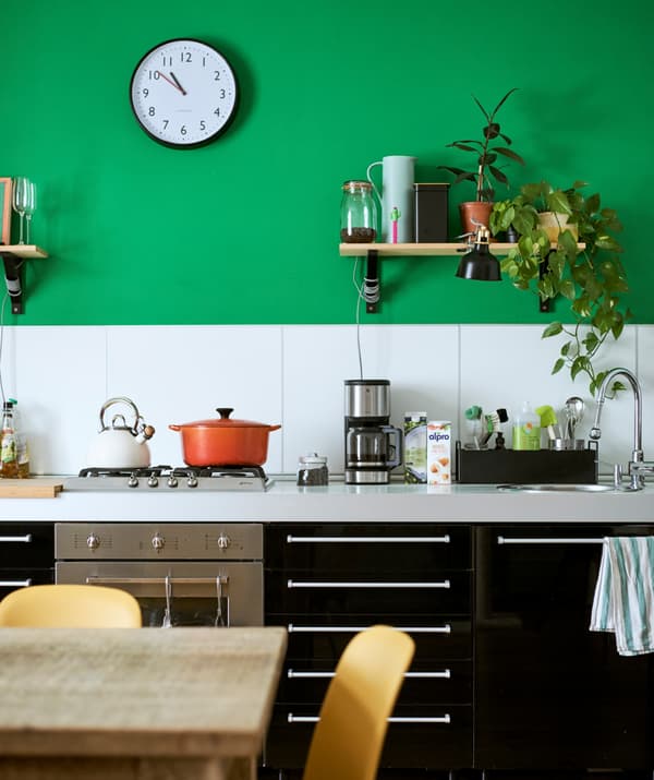 High-gloss black kitchen base units, white splashback on a green wall with a shelf with plants, jars and a black clamp light.