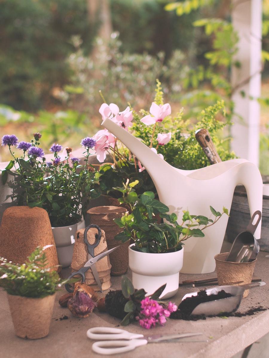 Home Furnishing Accessories for Better Homes