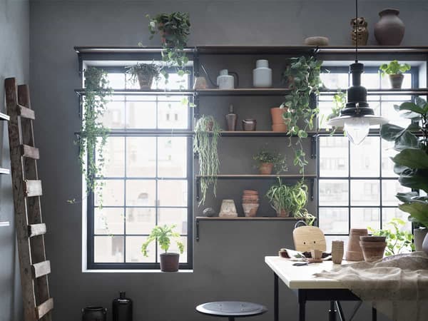 How to decorate the plants to make your interior stand out