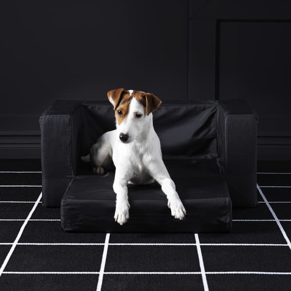Hund in einem schwarten Hundebett