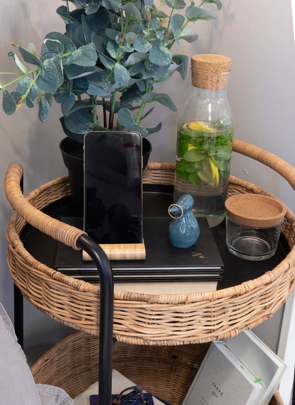 IKEA FEJKA Artificial potted plant