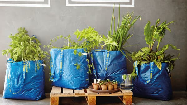 IKEA frakta bag filled with plants for regrowing