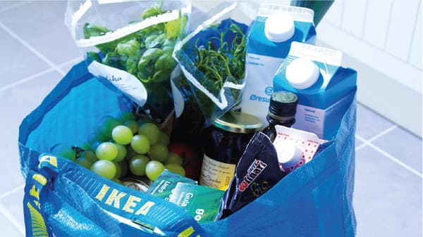 IKEA Frakta bag for grocery shopping -