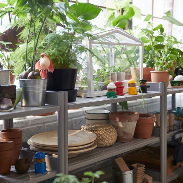 IKEA SOCKER greenhouse on a shelf decorated with many potted plants.