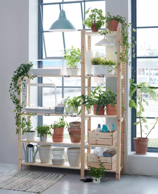 실내에서 수중식물을 길러보세요. 물과 씨앗, 원예키트만 있으면 간단합니다. IKEA VÄXER/벡세르 원예키트+화분8+조명 세트와 같이 뚜껑이 있는 배양상자에 담아두면, 싹이 자라나는 걸 직접 관찰할 수 있어요.