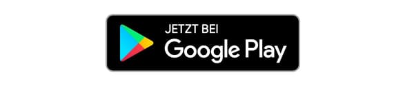 Il logo del Google Play Store