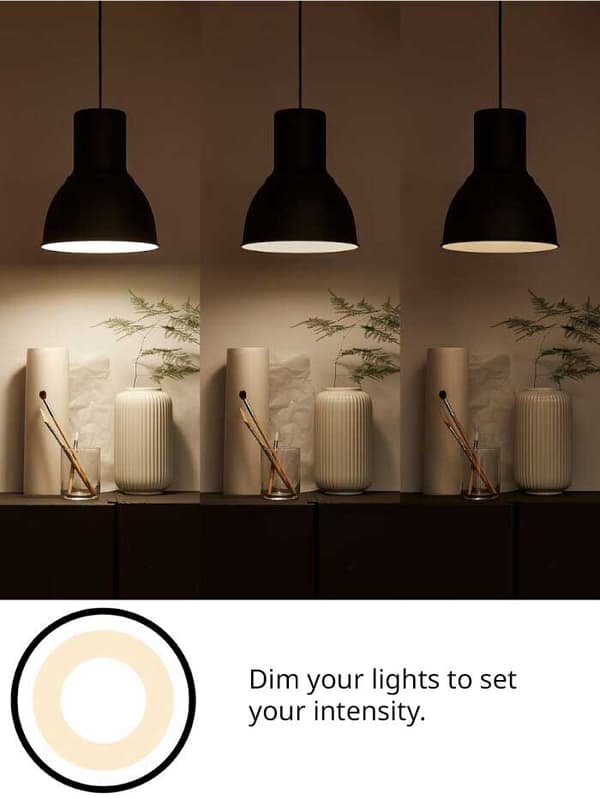 Illustrated image showing three lamps with different light intensities, accompanied by the text “dim your lighting to select the intensity”.