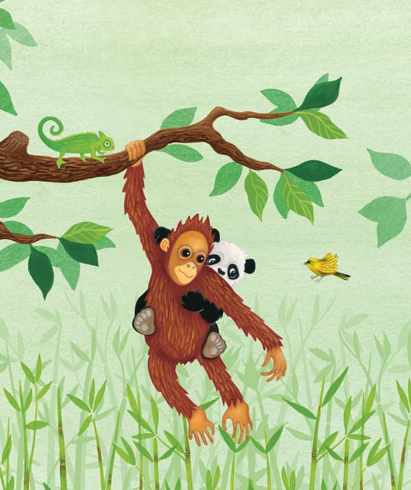 Illustration colorée d’un orang-outan et d’un panda dans la jungle.