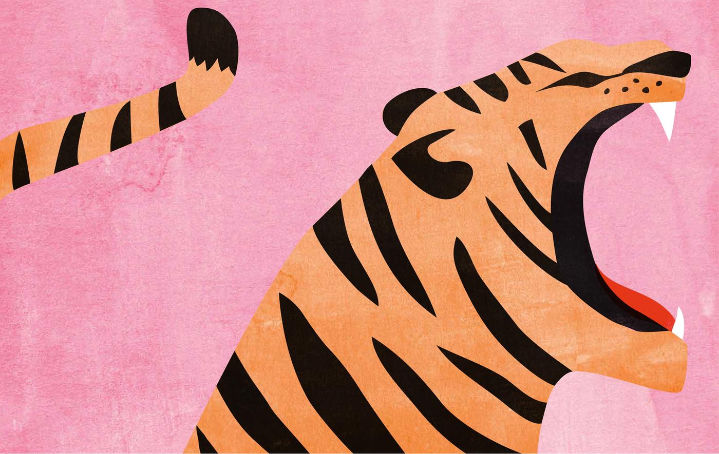 Ilustracija tigra na roze pozadini.