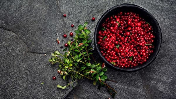 Image of lingonberry organic food
