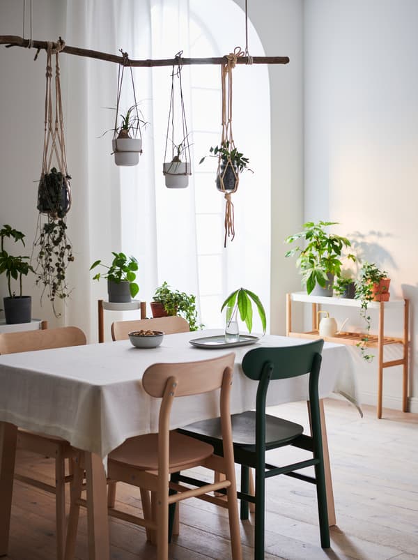 Intérieur d’appartement avec table et chaises, table d’appoint près d’un mur. Plantes vertes sur toutes les surfaces et certaines sont suspendues au-dessus de la table.