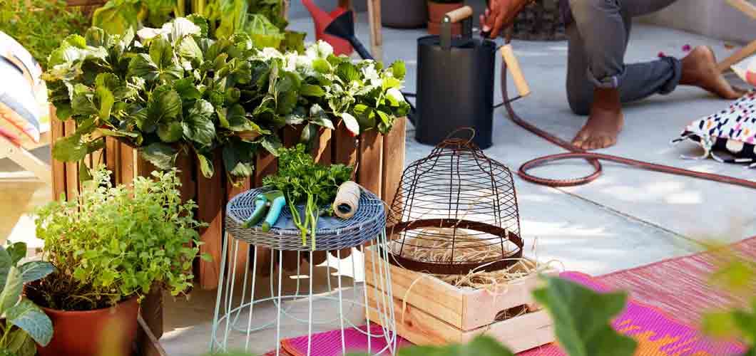 Interview: the benefits of being surrounded by plants