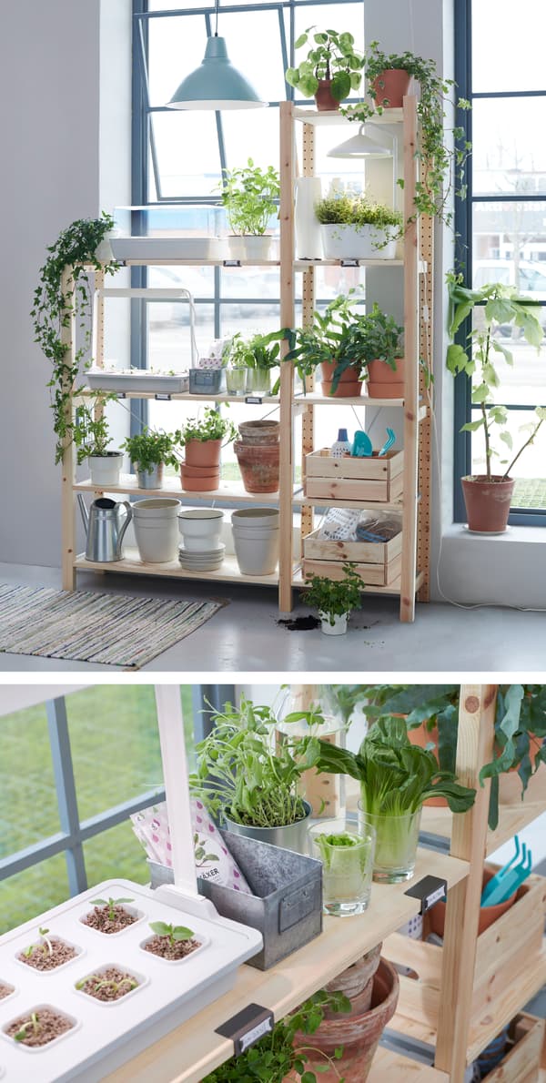 IVAR shelf and side unit as a plant stand and indoor growing space