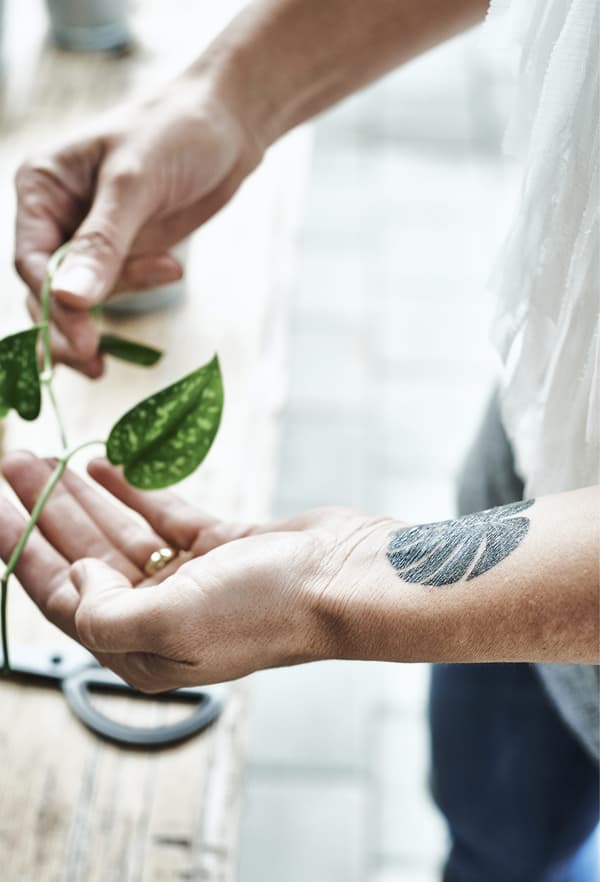 Jemand hält ein Blatt in der Hand. Auf dem Handgelenk ist ein Tattoo mit einem Blatt zu sehen.