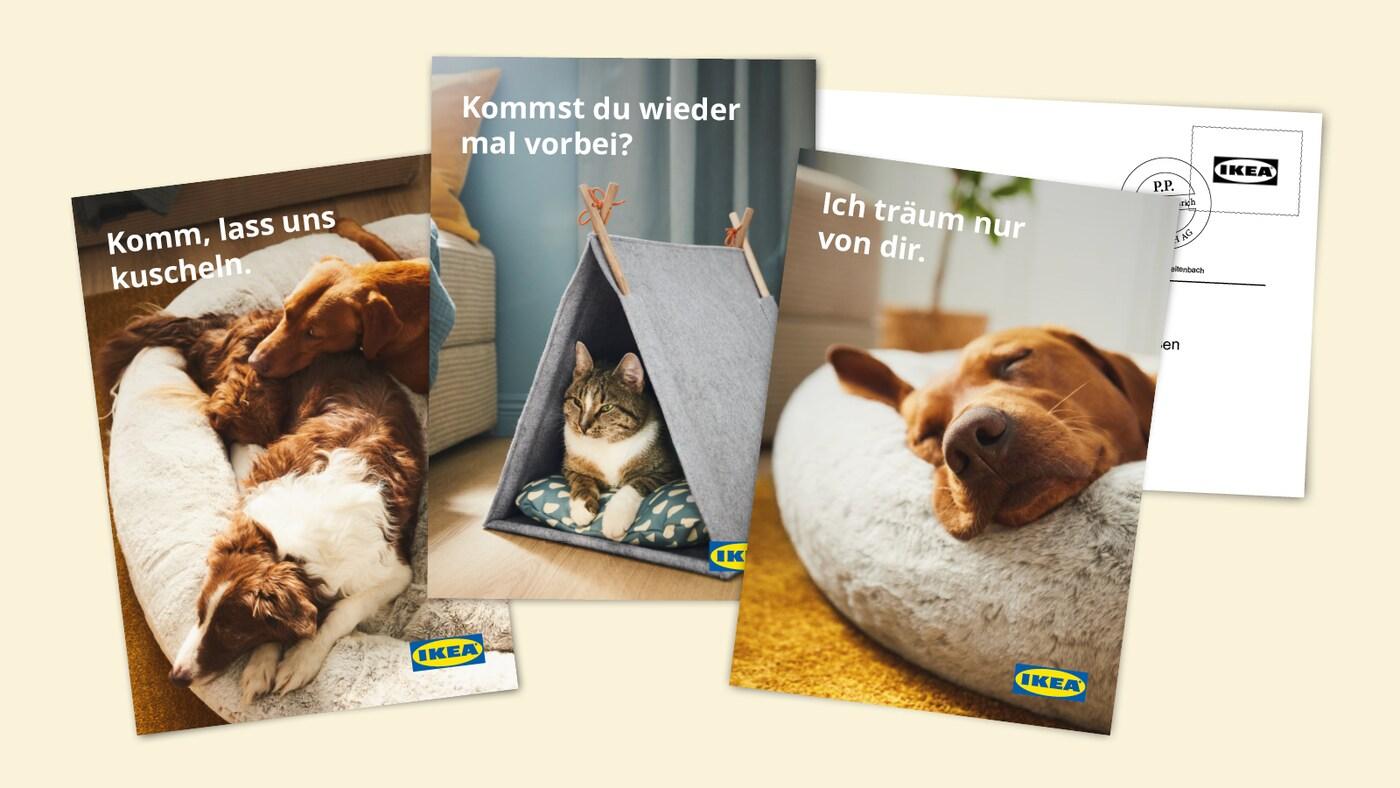Zum IKEA Postkarten-Designer