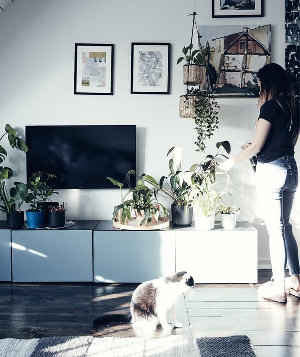 Katarzyna tending to plants on a low TV storage unit in her living room.
