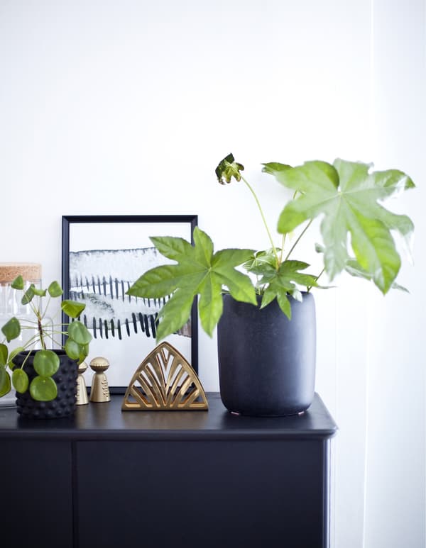 خزانة جانبية رمادي داكن بمحاذاة حائط أبيض مزين بالنباتات والأغراض.