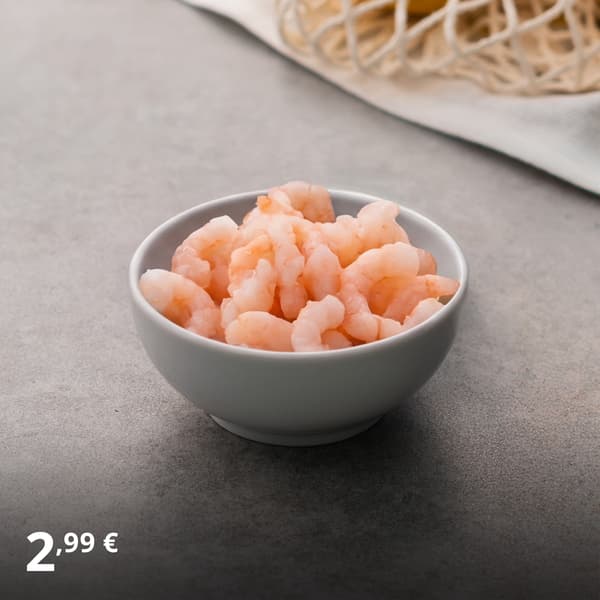 Krevetikauss