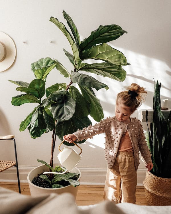 La fille d’Emilie, Brook, arrosant une grande plante verte avec un arrosoir d’ivoire et d’or VATTENKRASSE.