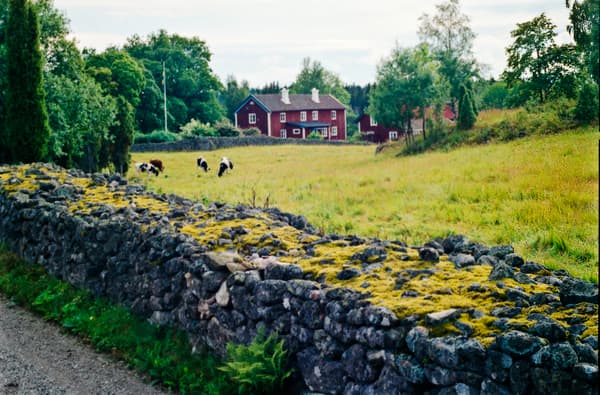 La primera sede de IKEA se encuentra en Småland, en medio de un hermoso paisaje con bosques, prados y lagos. Se ubica al sur de Suecia y aquí es donde comienza IKEA. Los inicios de la empresa.