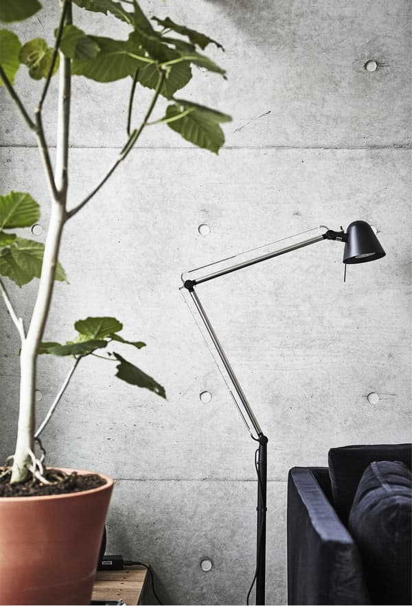 Lampadaire et grande plante en pot à côté d’un mur gris.