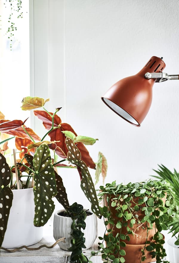 Lampe couleur rouille et cache-pots.