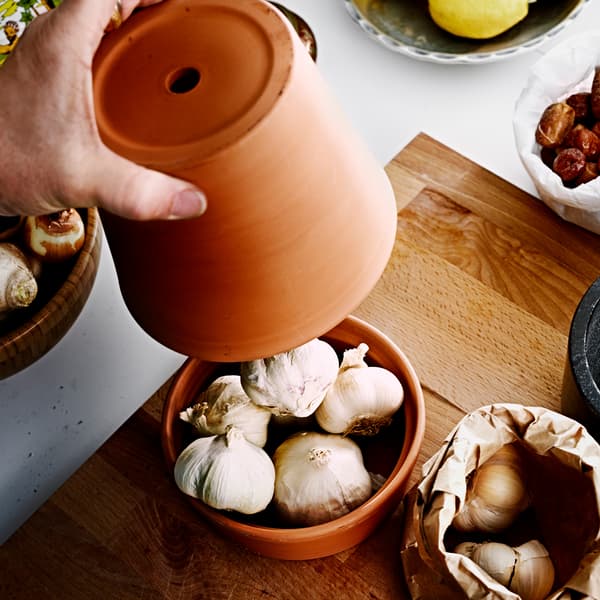 Les bulbes, comme les oignons et l’ail, se conservent mieux dans l’obscurité. Et obligatoirement à l’abri de la chaleur et de l’humidité!