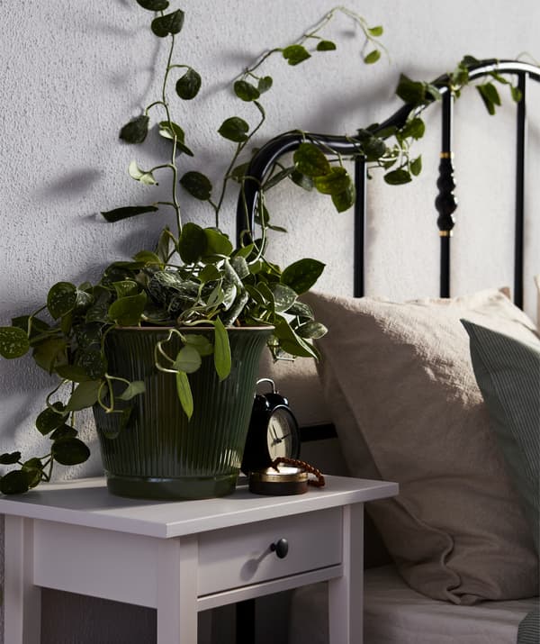 Letto con pianta rampicante intrecciata alla testiera nera - IKEA