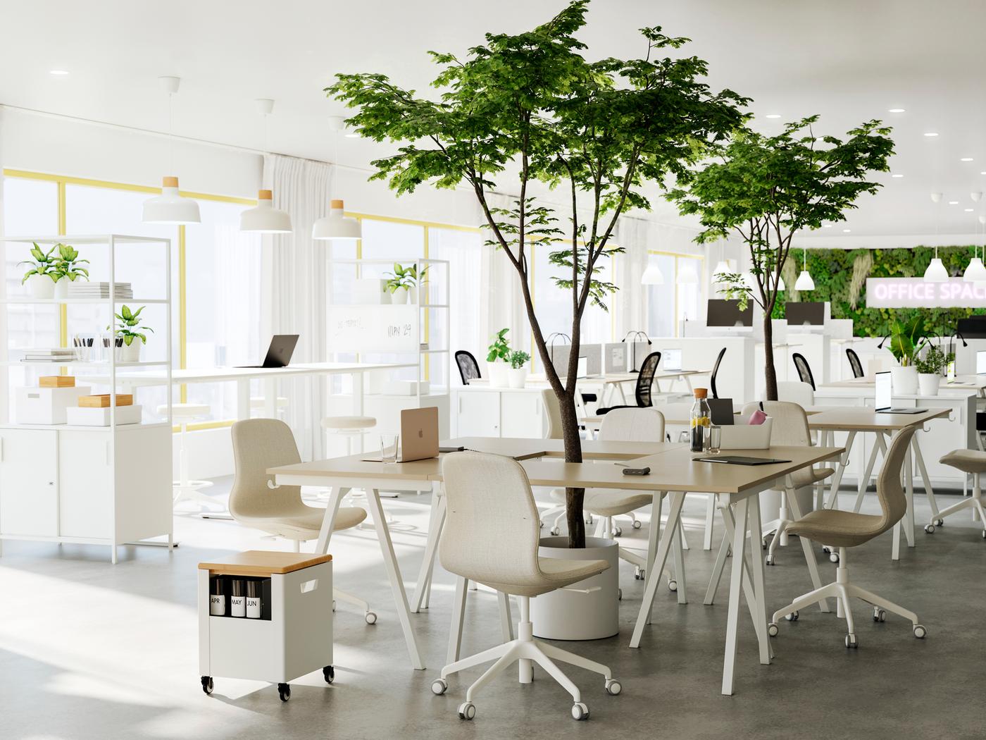 L'interno di un ufficio luminoso e spazioso con postazioni di lavoro di gruppo create con scrivanie TROTTEN posizionate attorno ad alberi a soffitto piantati in portavasi - IKEA.