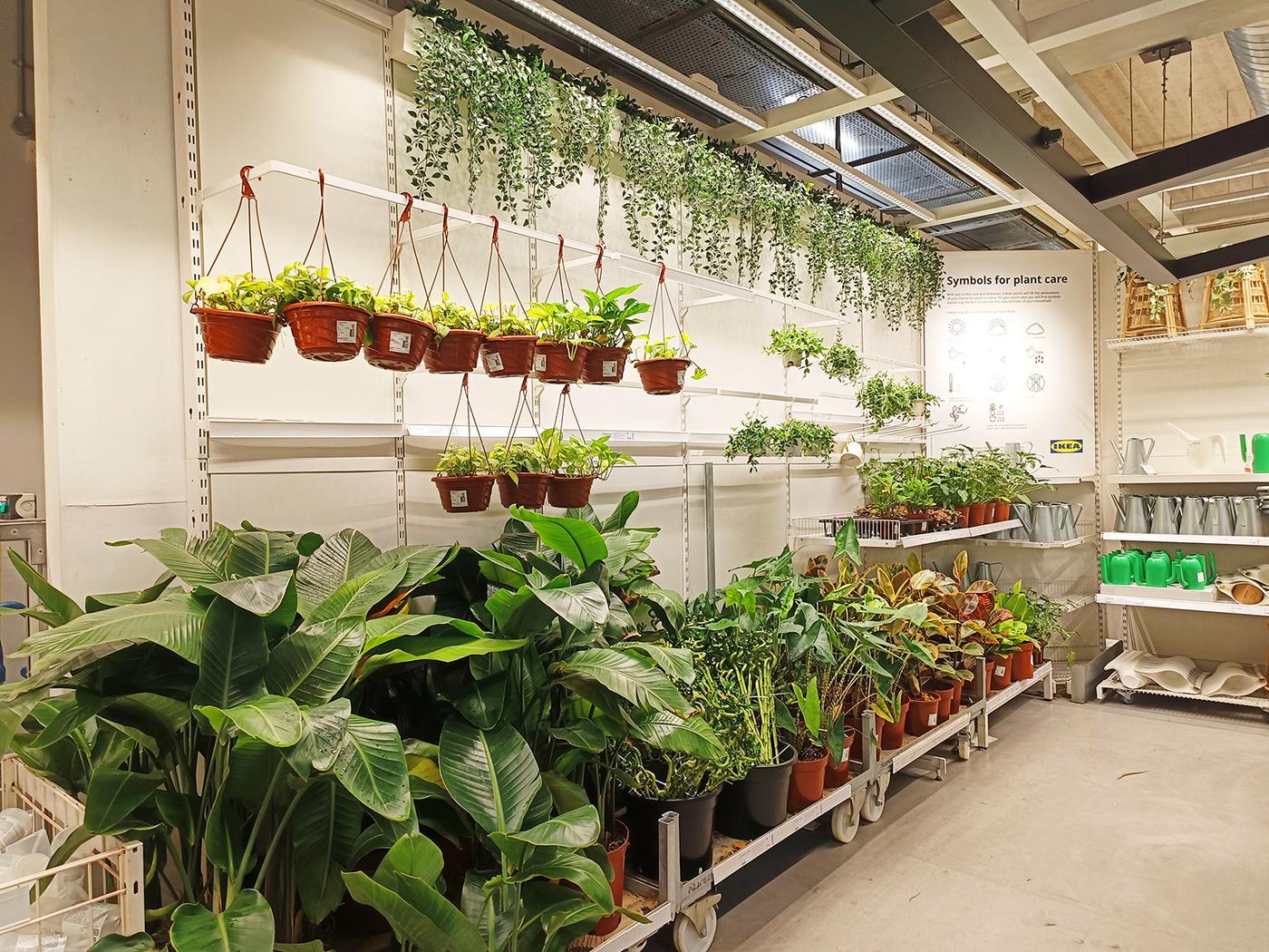 Find the perfect plant pots for your live plants