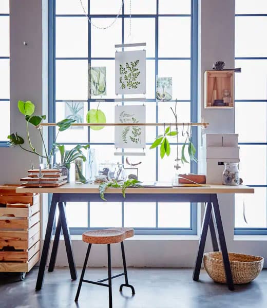 Long wooden table with black legs in front of a bright window with botanical themed pictures on it.