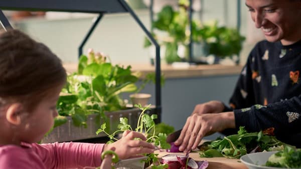 Make a difference without leaving your home