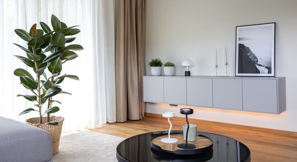 Minimalist interior with grey floating cabinet, plants, and modern décor.