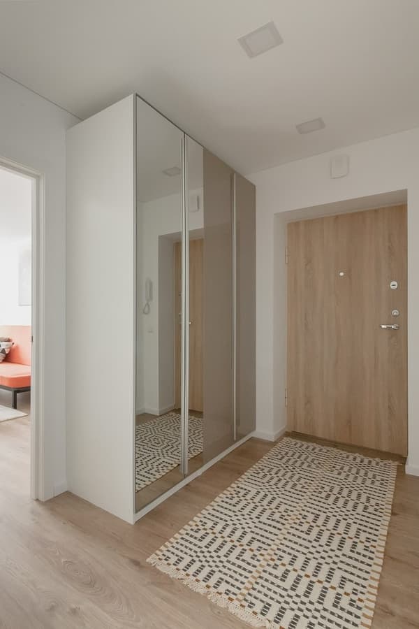 Modern entryway with a mirrored wardrobe, wooden front door, and patterned rug on a light wood floor.