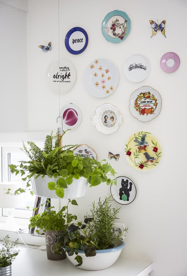 Mur garni d’une collection d’assiettes colorées et de plantes.