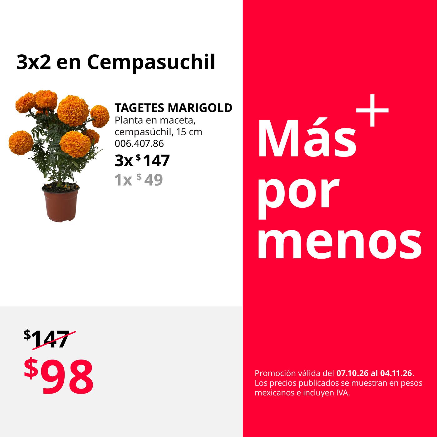 Mx_FY27_Oct_Bundle_CempasÃºchil