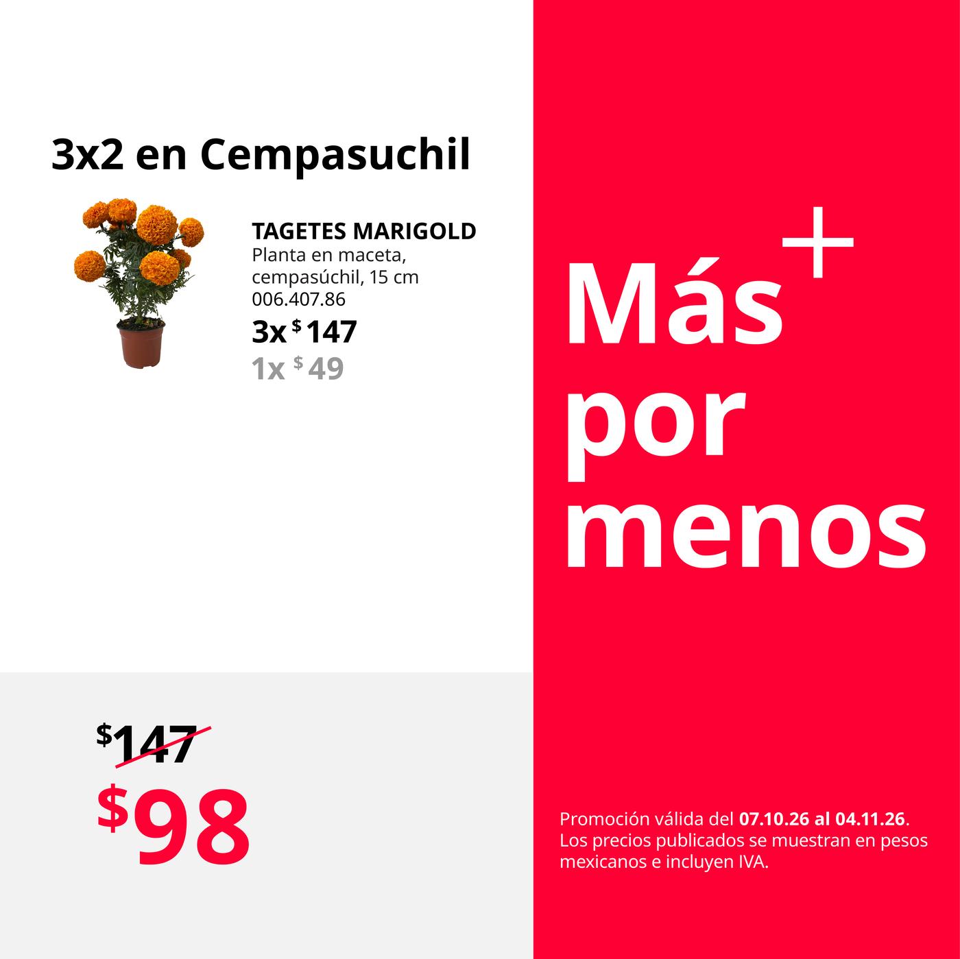 Mx_FY27_Oct_Bundle_Cempasúchil